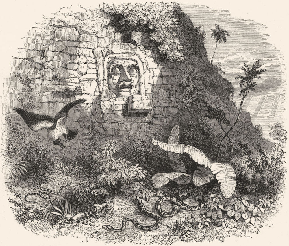 YUCATAN. Head Carved Stone, Aztec Ruin Uxmal c1880 old antique print picture